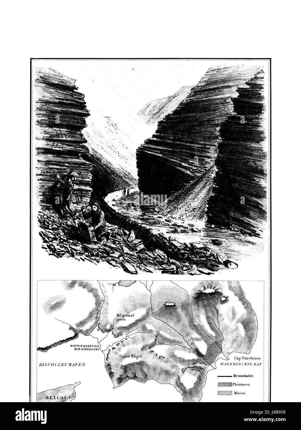 Polarflora bezieht sich auf die Flora in Polarregionen, die typischerweise durch Arten gekennzeichnet ist, die an extreme Kälte und kurze Vegetationszeiten angepasst sind. Dieser Titel kann sich auf eine bestimmte Untersuchung oder Sammlung polarer Pflanzenarten beziehen. Stockfoto