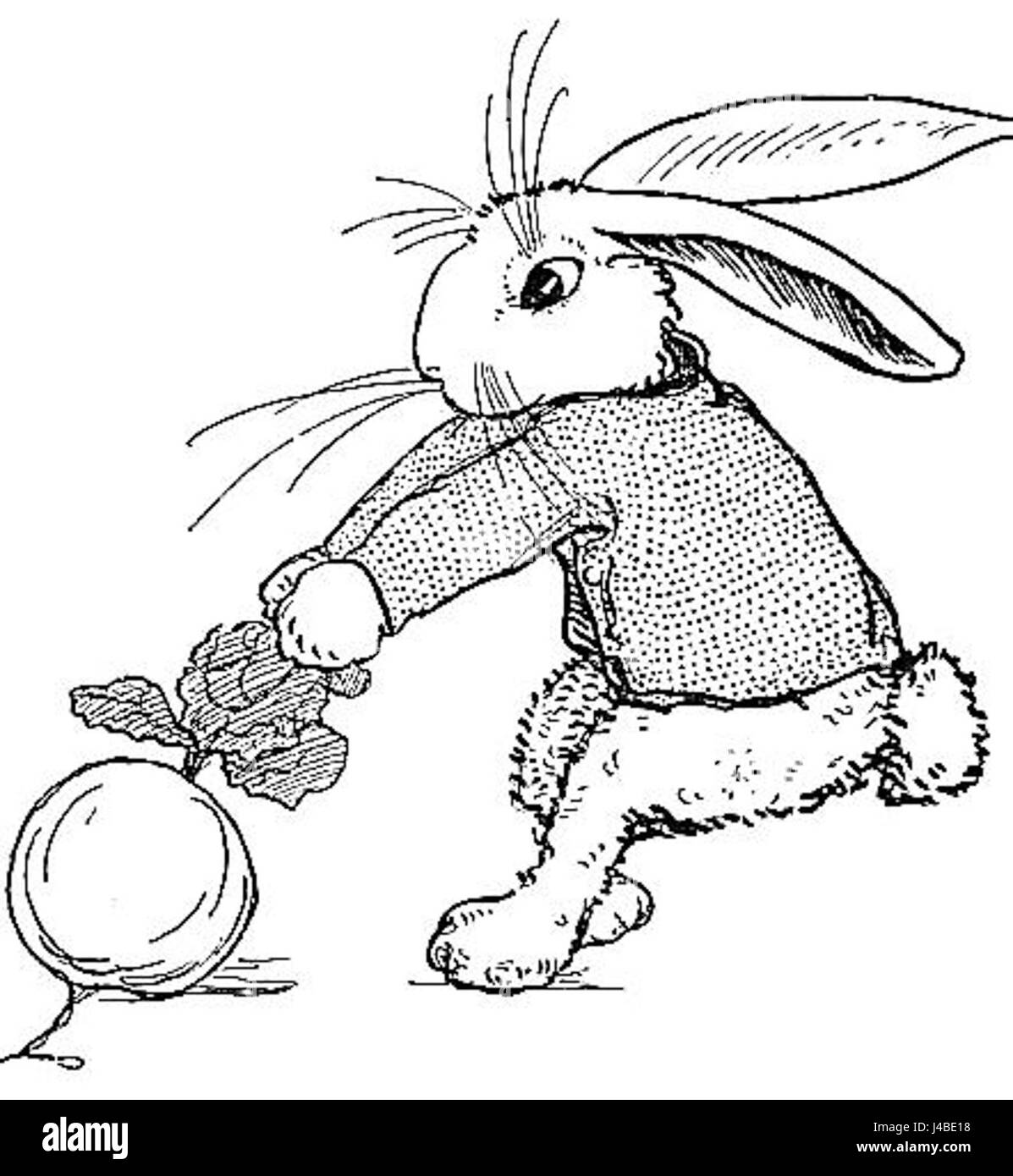 PeterRabbitandhisMa9 Stockfoto