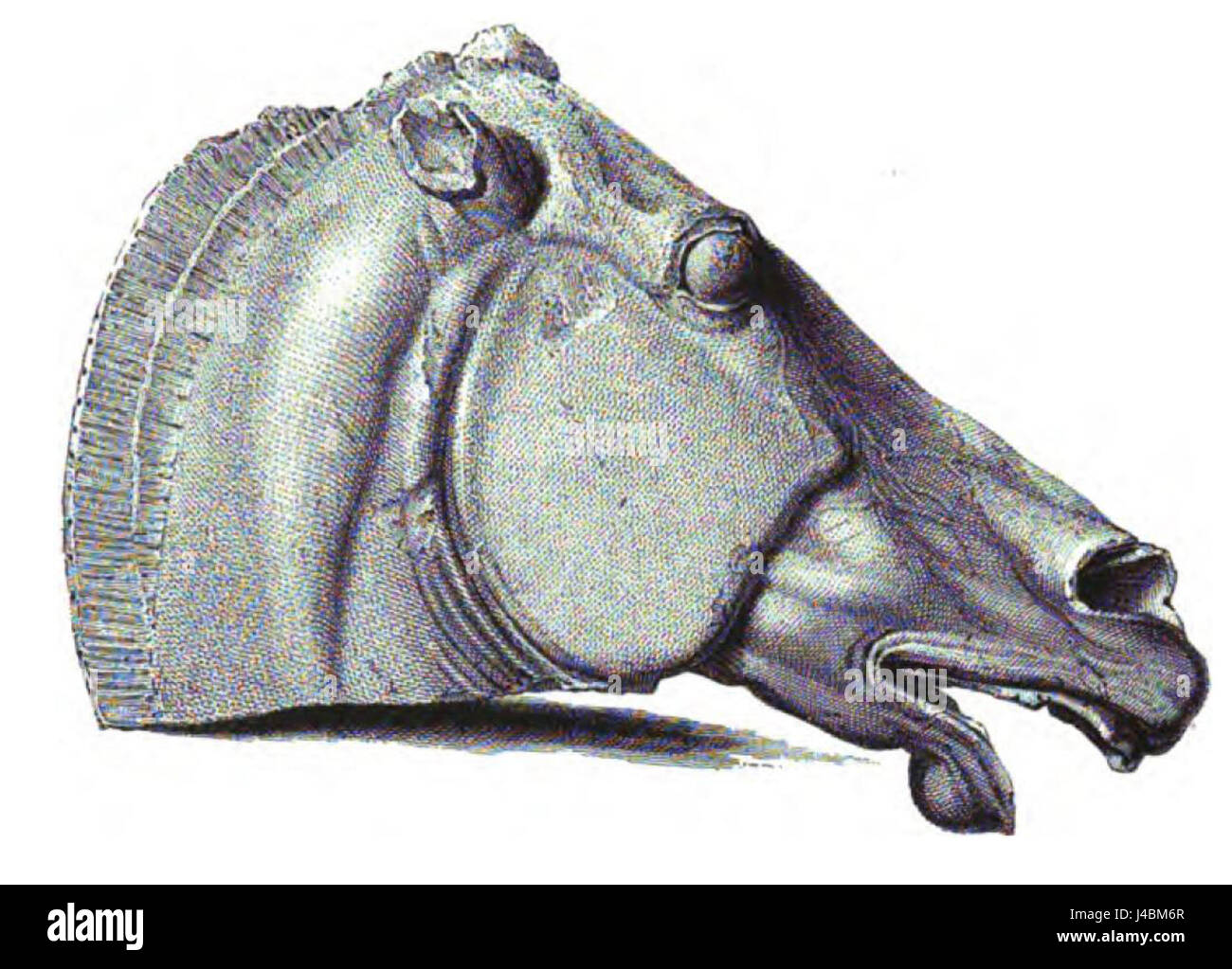 Der Begriff Pferdekopf bezieht sich auf einen Pferdekopf, der wahrscheinlich in verschiedenen Zusammenhängen wie Skulpturen, Illustrationen oder Darstellungen in Kunst und Kultur verwendet wird. Stockfoto