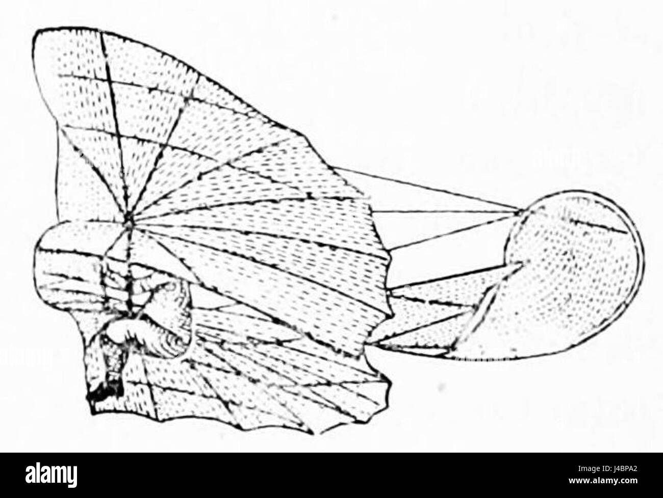 PSM V46 D648 Lilienthal fliegen Apparat im Flug Stockfoto