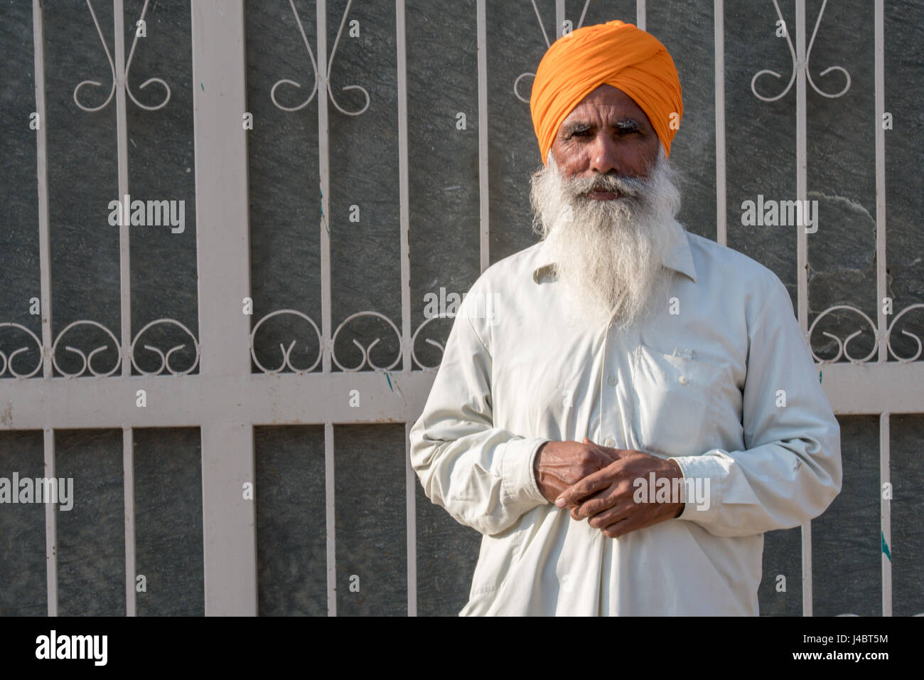 Ein Sikh Mann steht gegen ein Metalltor auf einer Farm in Punjab, Indien. Stockfoto