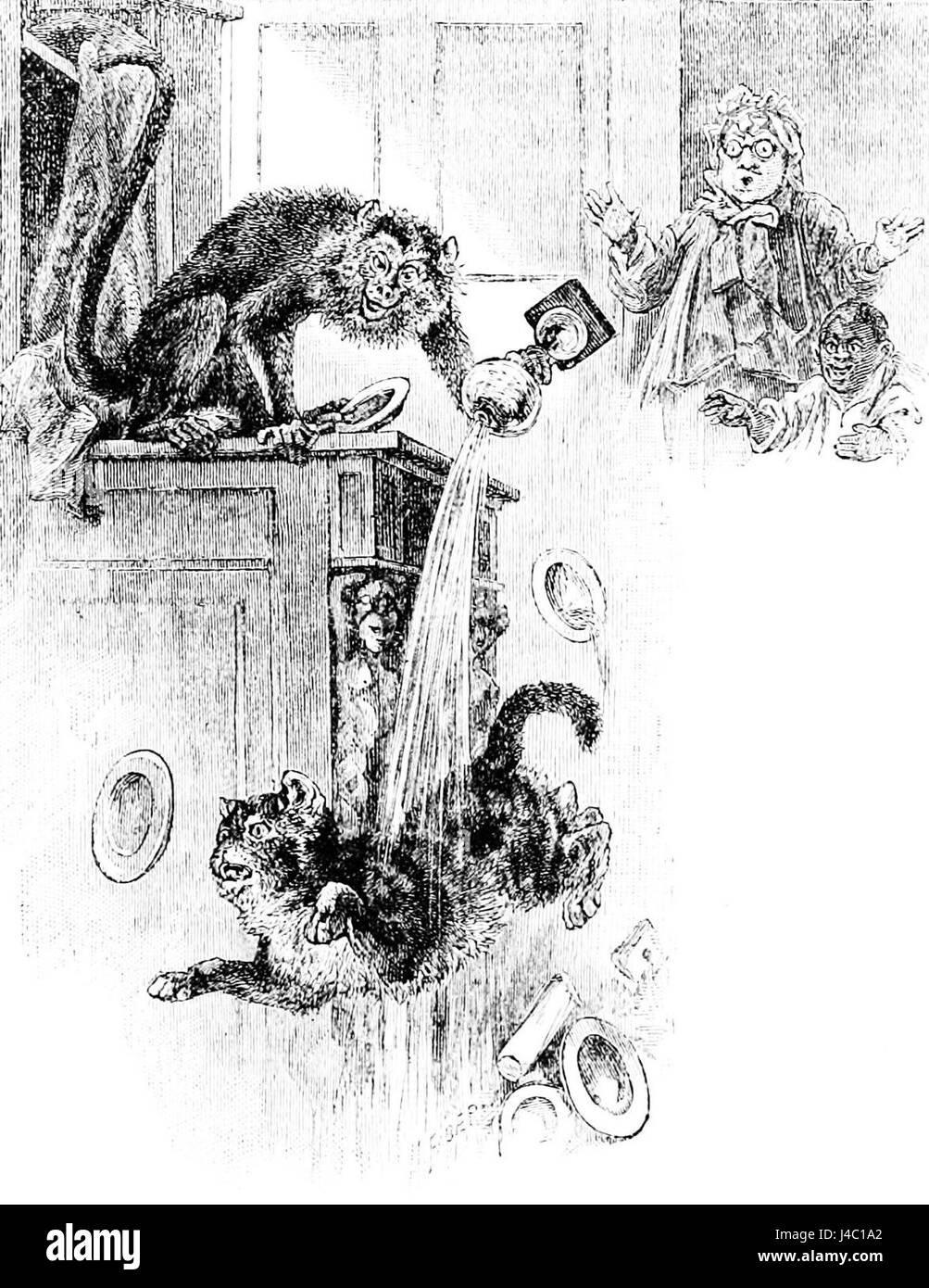 PSM V22 D609 Total Verderbtheit Possen von wilden Affen Stockfoto