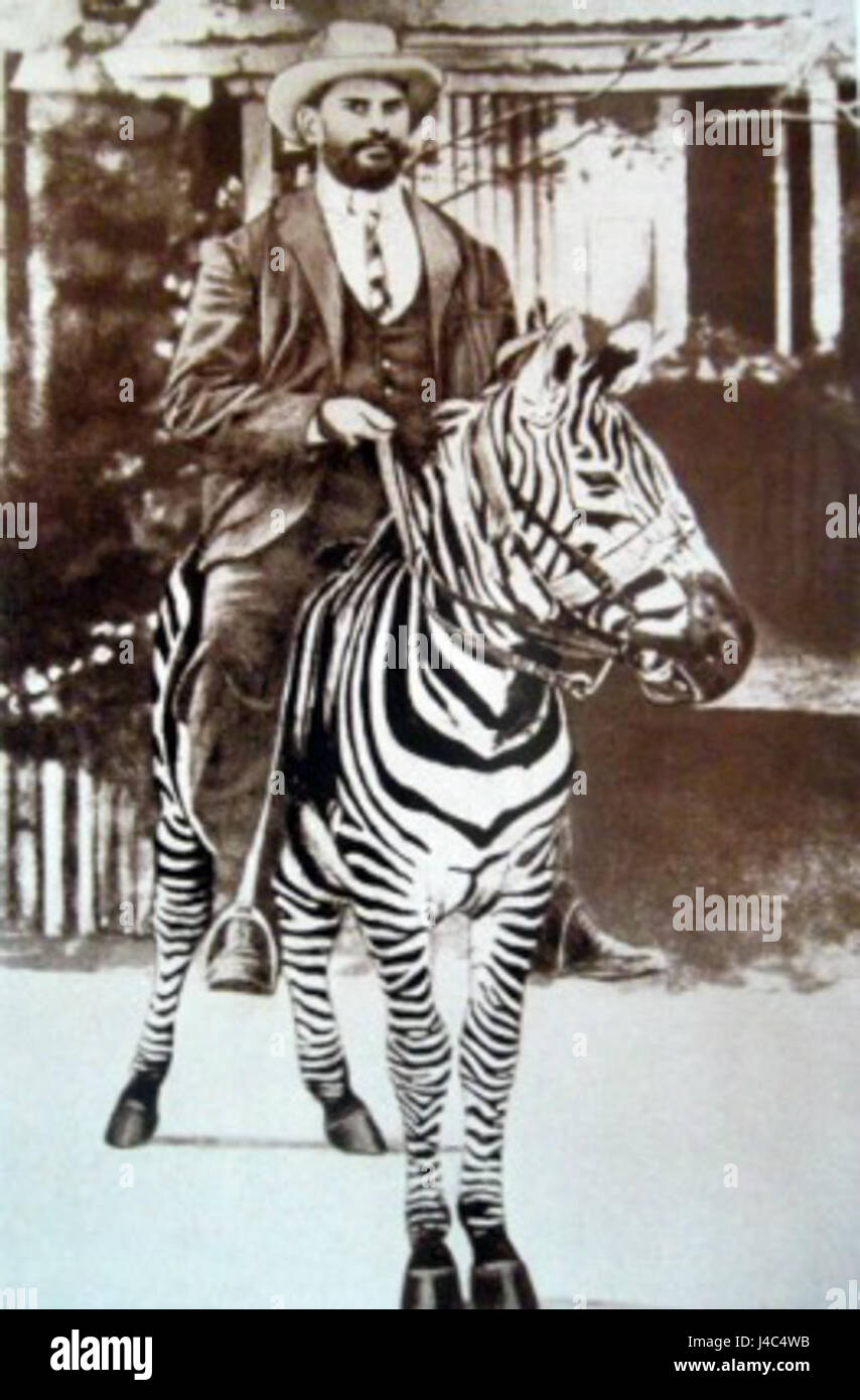 Rosendo Ribeiro, bekannt für seine bemerkenswerte Arbeit in verschiedenen Bereichen, ist hier auf einem Zebra dargestellt. Das Bild repräsentiert einen kulturellen oder künstlerischen Moment und unterstreicht die Verbindung der subjectâ mit Tieren und Natur. Stockfoto