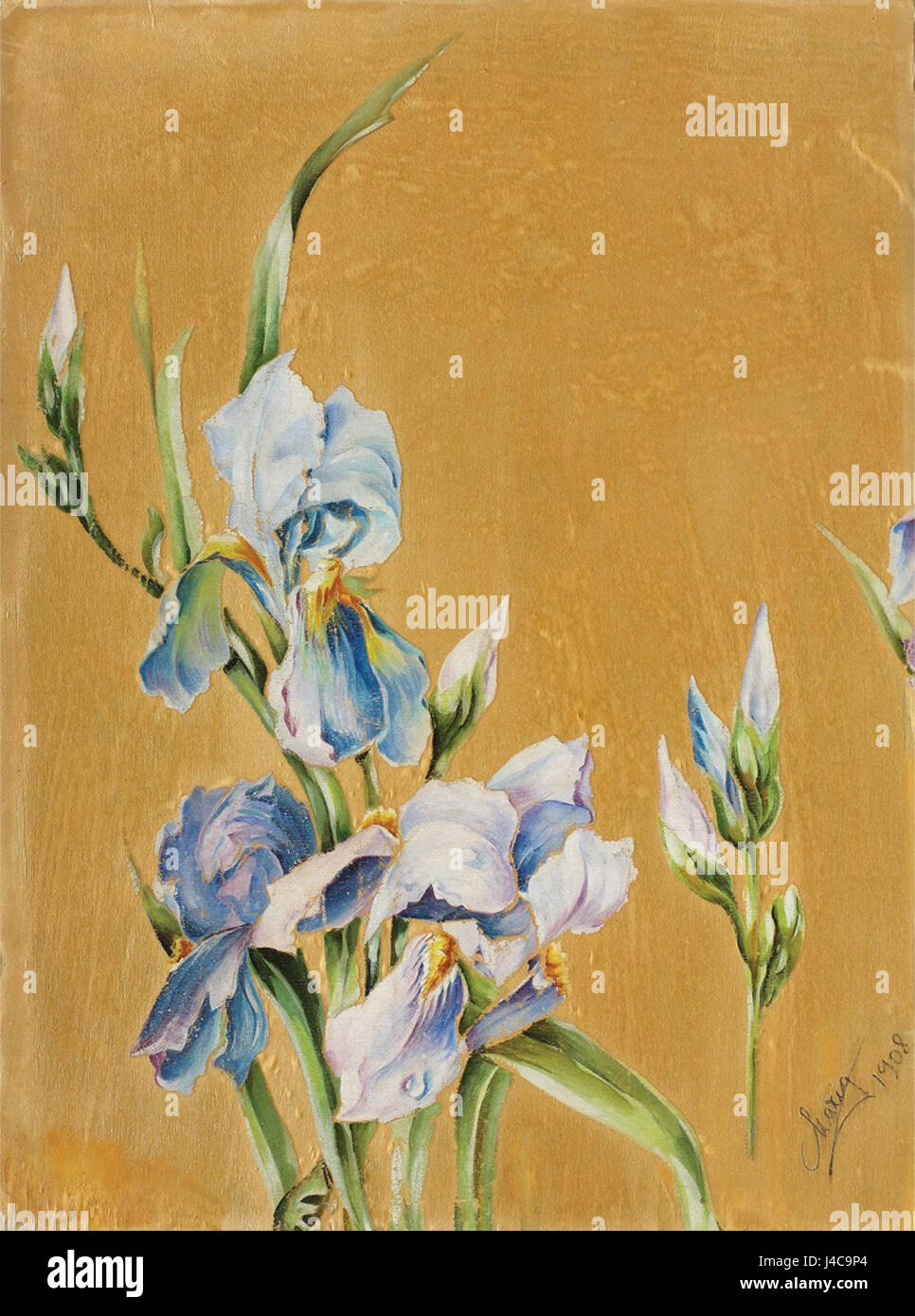 Regina Maria IRISI bezieht sich auf ein historisches oder künstlerisches Thema, das wahrscheinlich von der Figur der Königin Maria inspiriert ist und mit der Blume in Verbindung gebracht wird, die Königtum oder Schönheit symbolisiert. Das Werk könnte ein Gemälde, eine Skulptur oder eine andere künstlerische Darstellung sein, bei der die Figur von Regina Maria mit der symbolischen Irisblume kombiniert wird und Themen der Weiblichkeit und Majestät reflektiert. Stockfoto