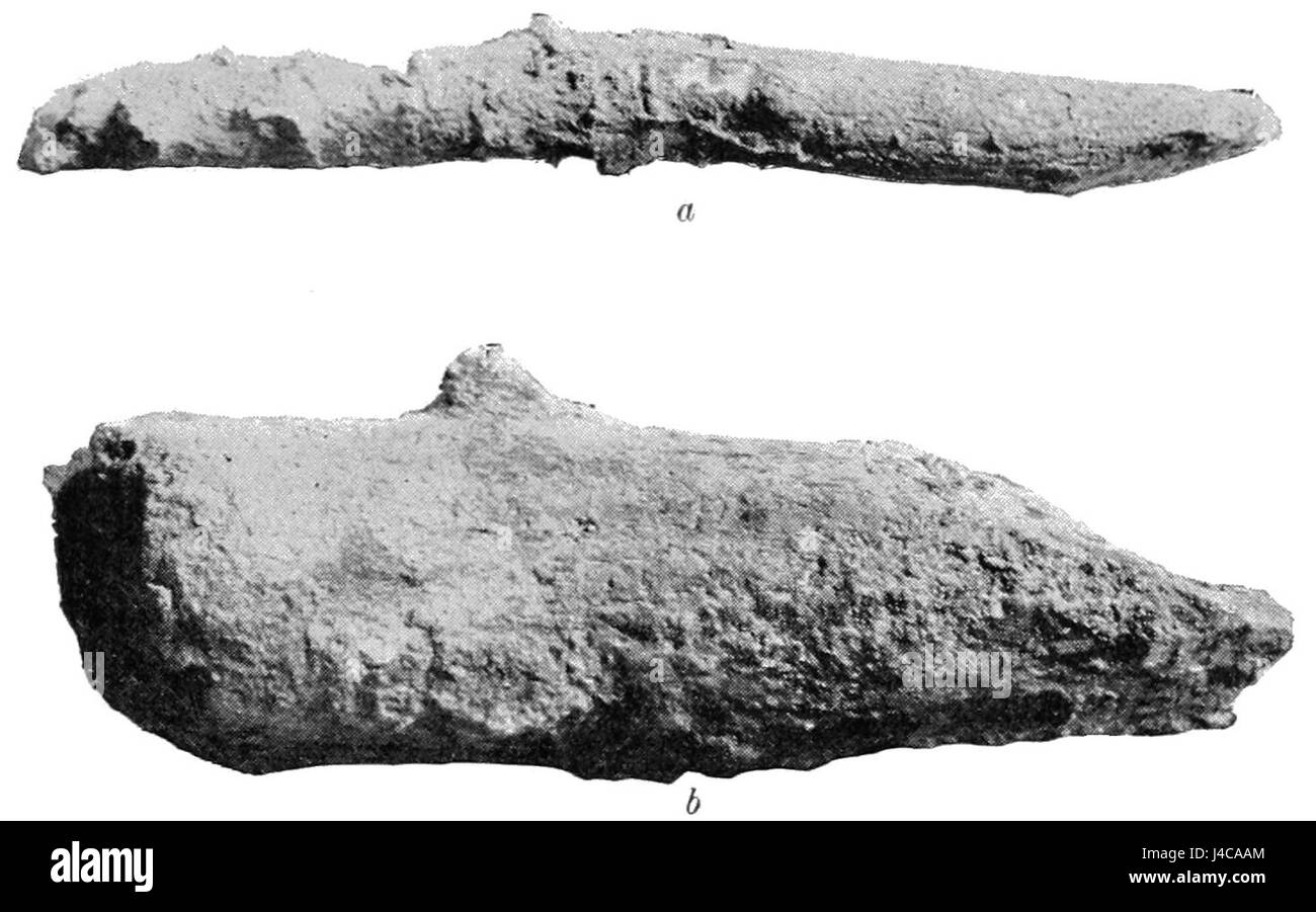 PSM V43 D681 Abgüsse von Spitzen hölzernen implementieren und Stein geschärft log Stockfoto
