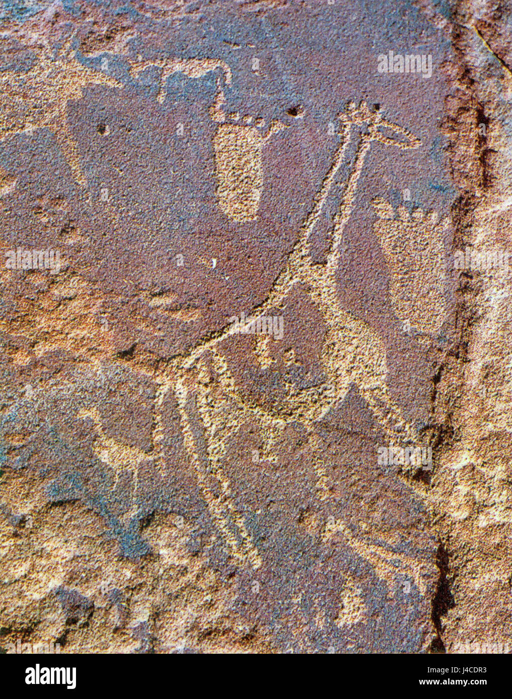 Die Felsenschnitzereien aus den Tassili n'Ajjer Bergen in Algerien zeigen Szenen des antiken Lebens, einschließlich Tiere und Menschen. Diese Schnitzereien gelten als wichtige Beispiele prähistorischer Kunst. Stockfoto