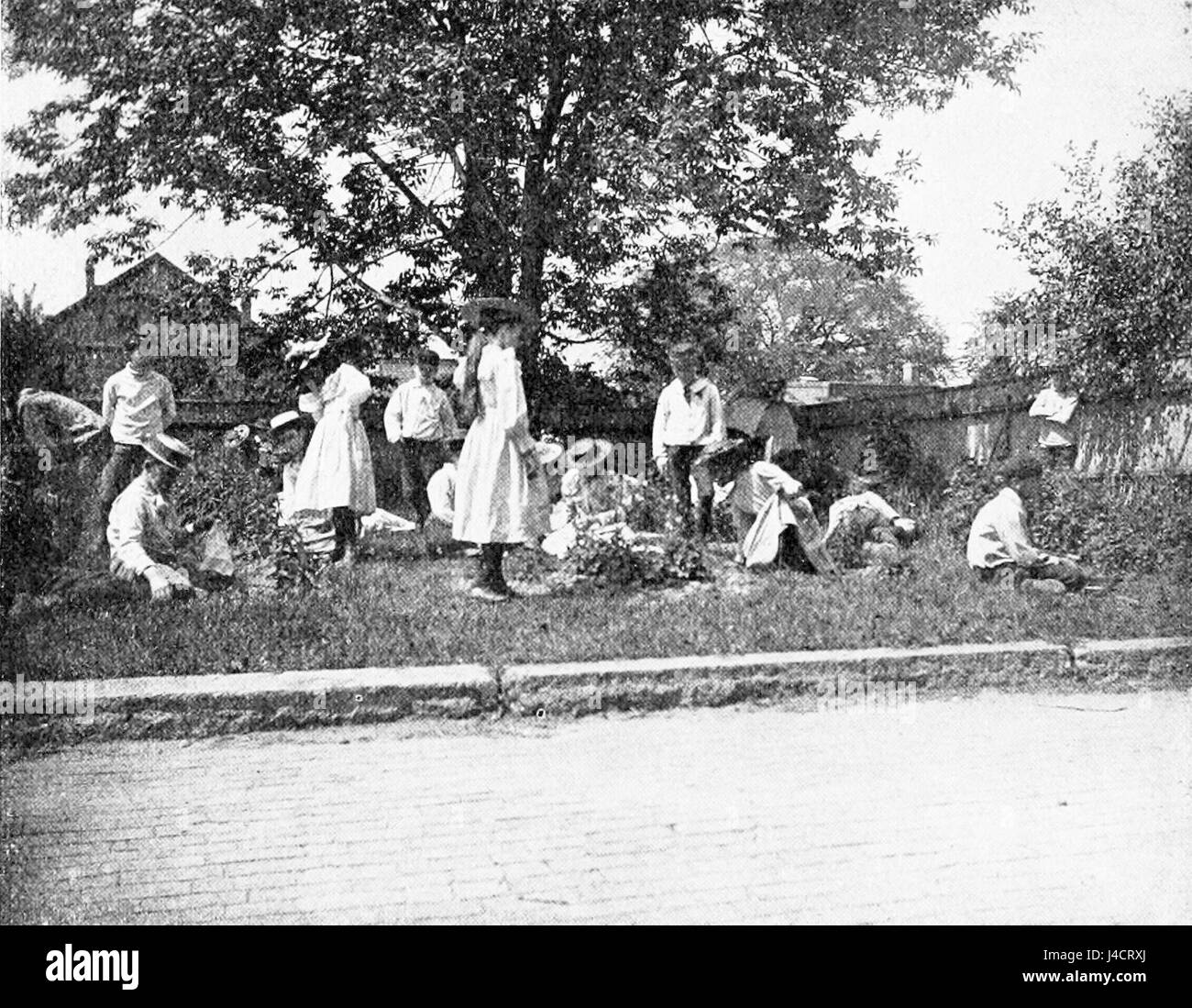 PSM V52 D472 Kinder arbeiten in der George Putnam Schulgarten Stockfoto