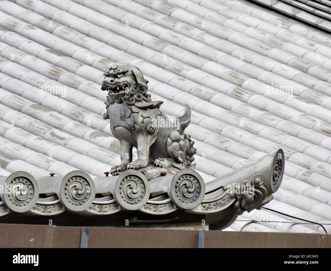 Shisa oder Shishi, Imperial Guardian Lions Bild in Japan, die weiblichen Löwen Herunterfahren verhindern schlimme Dinge, die passieren könnte.  Selektiven Fokus Stockfoto