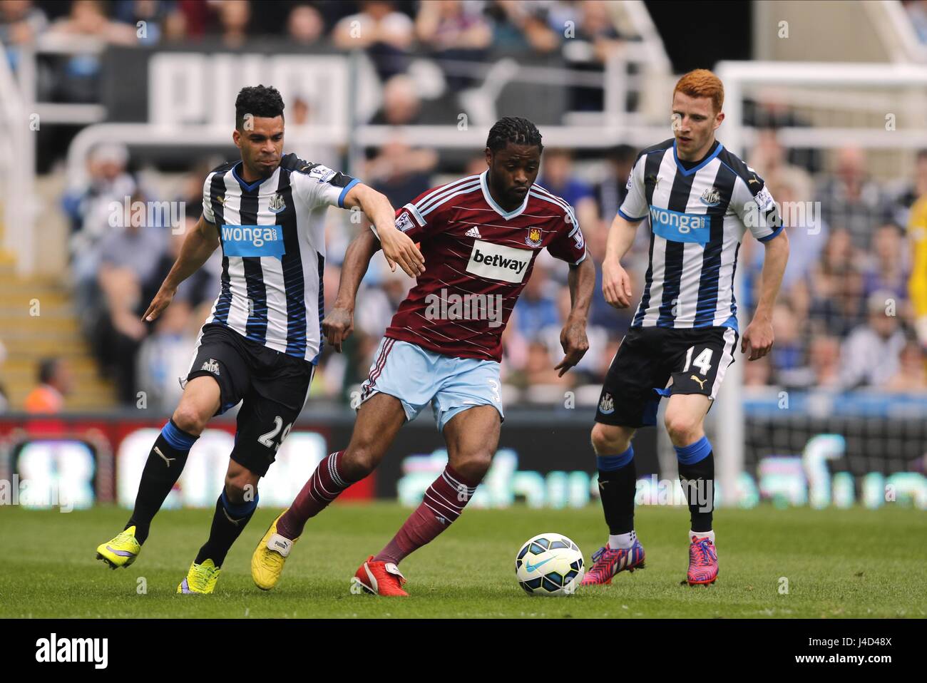 E-RIVIERE ein Lied J COLBACK NEWCASTLE UNITED V WEST NEWCASTLE UNITED V WEST HAM ST JAMES PARK NEWCASTLE ENGLAND 24. Mai 2015 Stockfoto