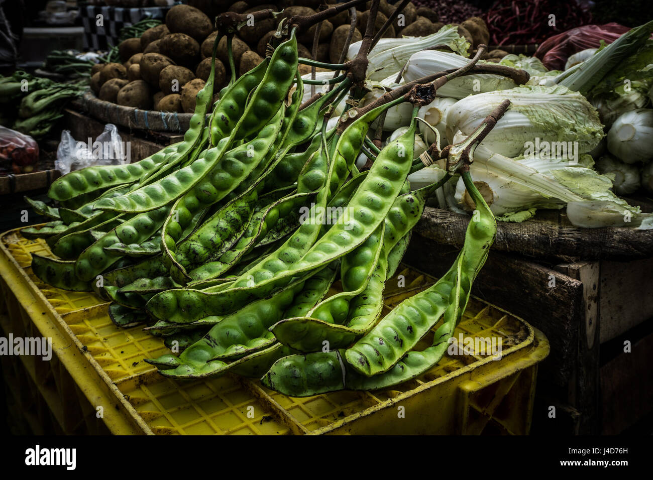 Petai oder bittere Bohne ist eine der lokalen Essen hat stinkenden Geschmack und Duft vertreibt in traditioneller Markt Foto in Bogor, Indonesien Stockfoto