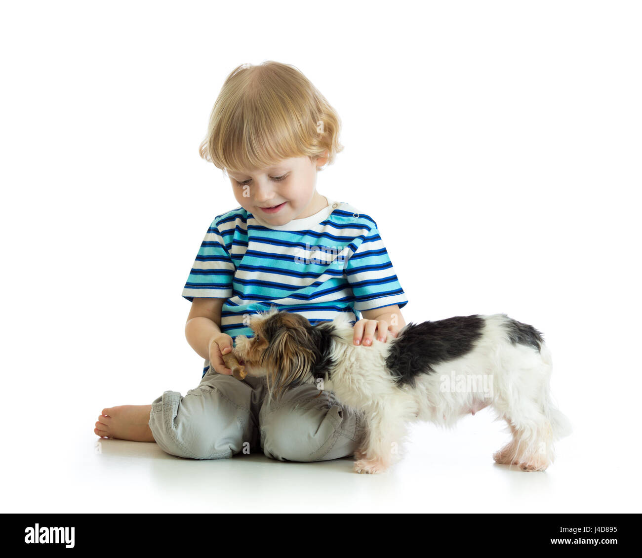 Kind junge füttert Hund Welpe isoliert auf weiss Stockfoto
