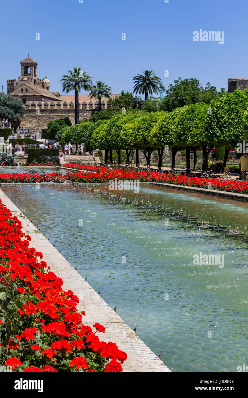 Brunnen und Gärten, Alcazar de Los Reyes Cristianos (Palast der christlichen Monarchen), Cordoba, Spanien Stockfoto