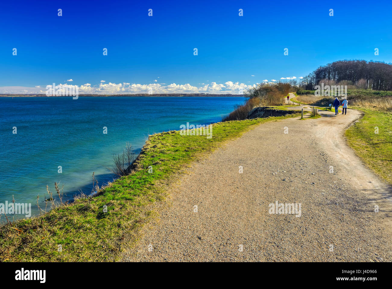 Brodtener Steilufer an der Ostsee in Ostholstein, Schleswig - Holstein, Deutschland, Europa, Brodtener Steilufer eine der Ostsee in Ostholstein, Schlesw Stockfoto