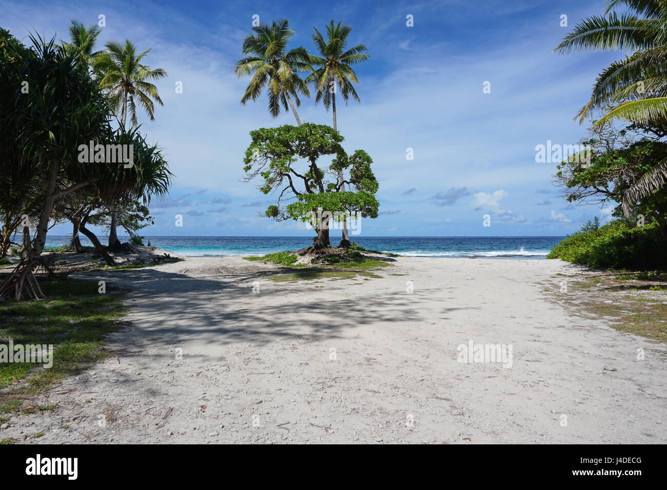 Weg zum Ozean mit tropischer Vegetation an der Küste der Insel, Französisch-Polynesien, Huahine Süd-Pazifik Stockfoto