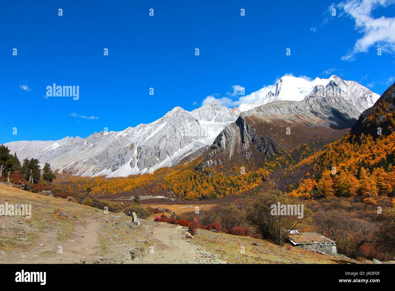 Herbst im Yading Naturreservat in Daocheng County, China Stockfoto