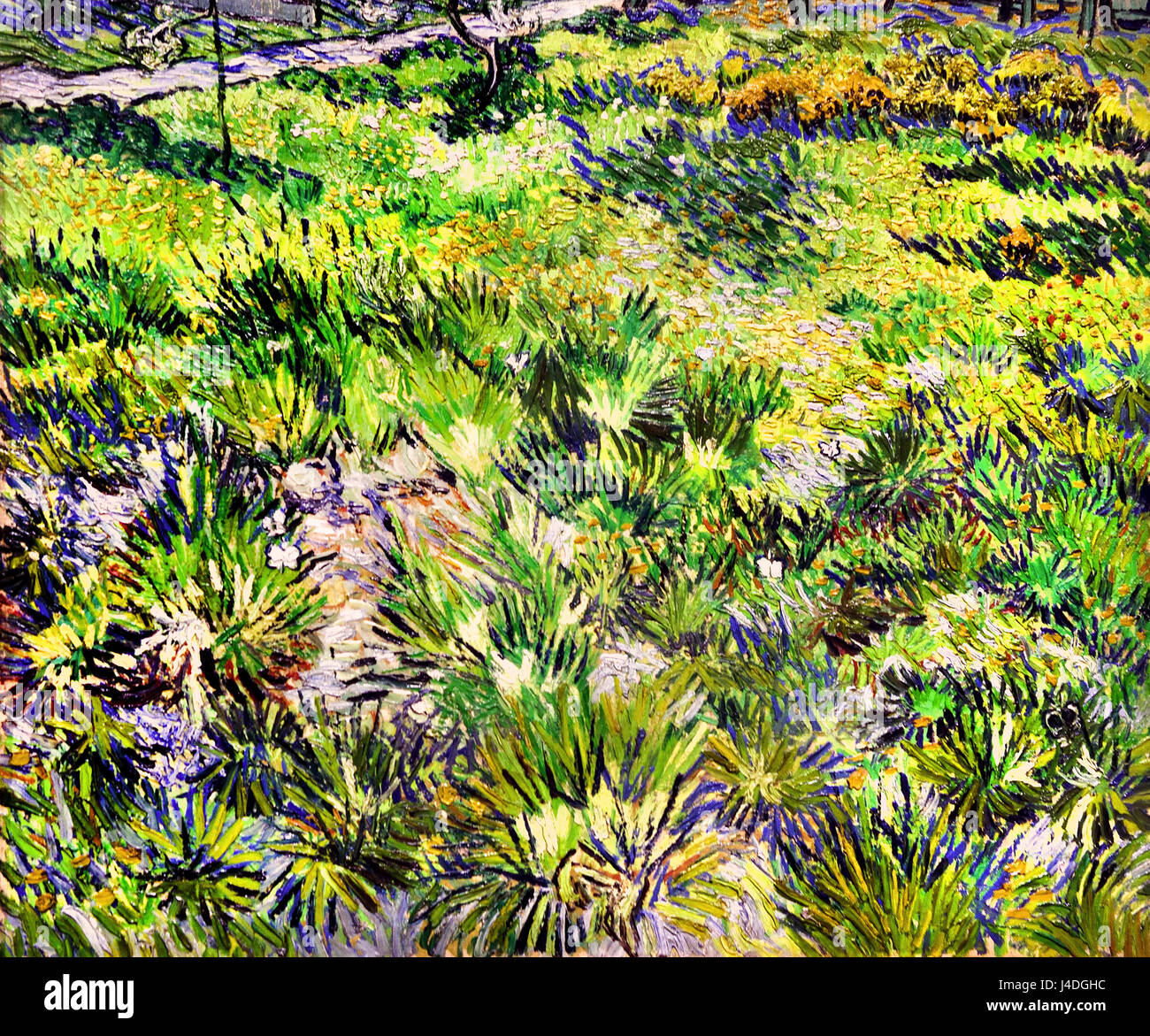 Langes Grass mit Schmetterlingen 1890 Vincent van Gogh 1853-1890 Niederlande Niederlande Stockfoto