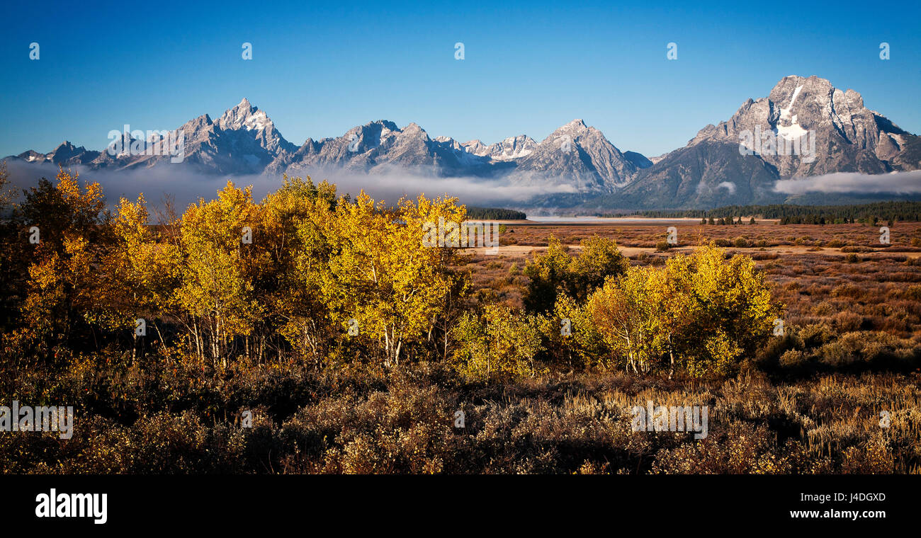 Herbst Farbe umgibt die Bergkette im Grand Teton National Park. Wyoming. Stockfoto