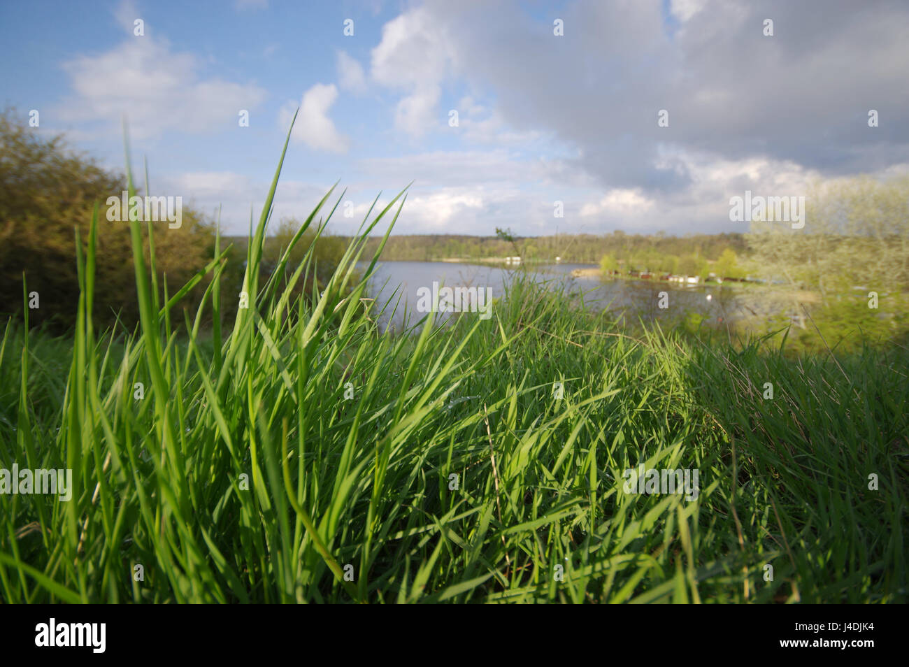 Frische Morgen am See mit nassem Rasen im Vordergrund Stockfoto