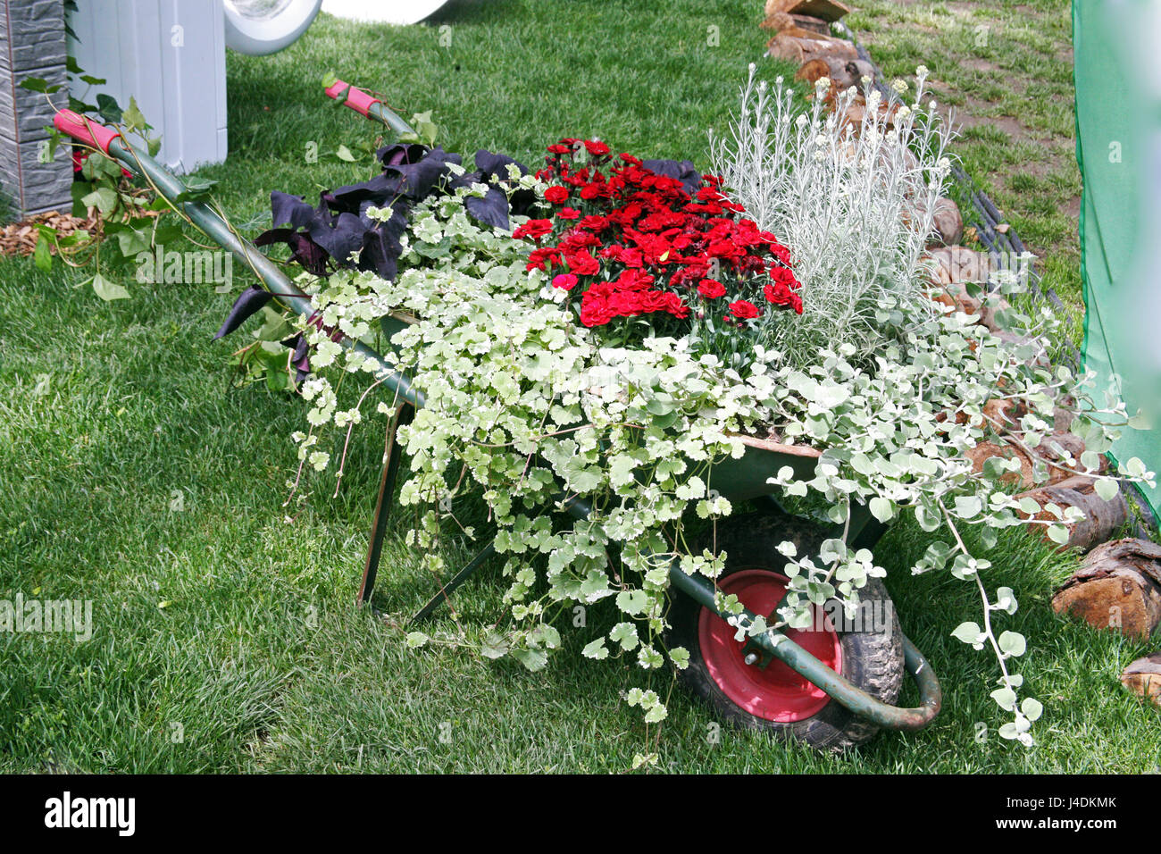 Blumen, Pflanzen, Gartenarbeit und Arrangements, Frühling, Sommer, Kroatien, 23 Stockfoto
