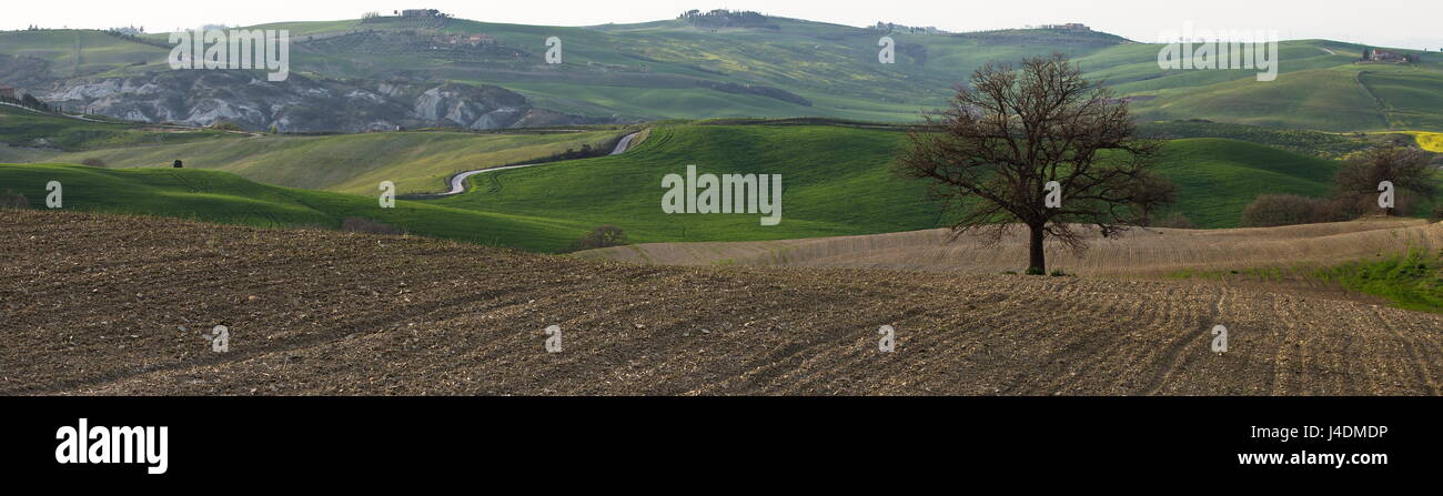 Panoramablick auf der typisch toskanischen Landschaft mit Bäumen, grünen Hügeln und kurvige Straßen Stockfoto