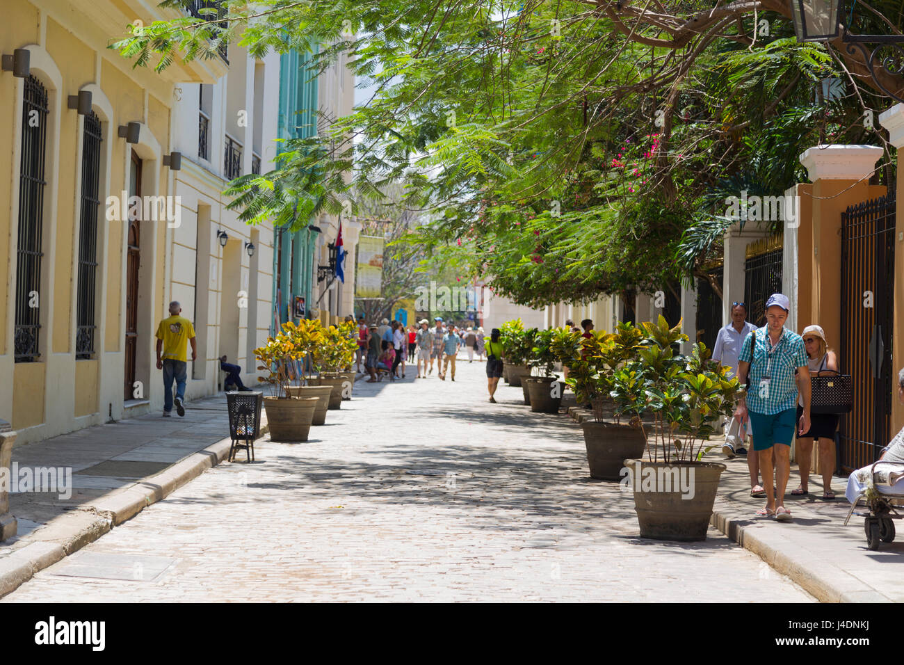 Blick auf die Altstadt Havanna, Kuba Stockfoto