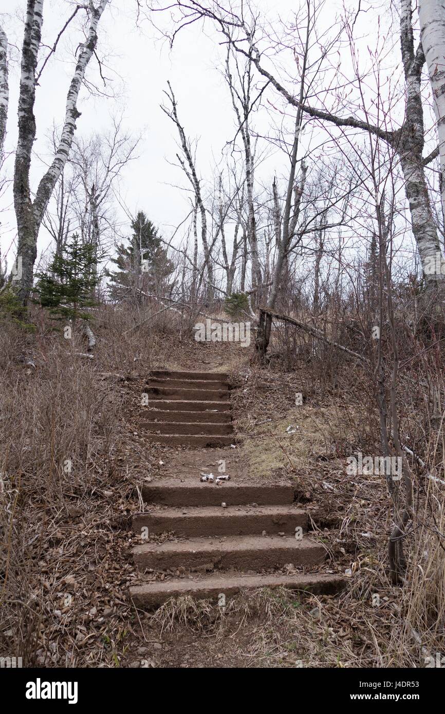 Schritte führen nirgendwo an Stachelbeere Falls State Park in Minnesota, USA. Stockfoto