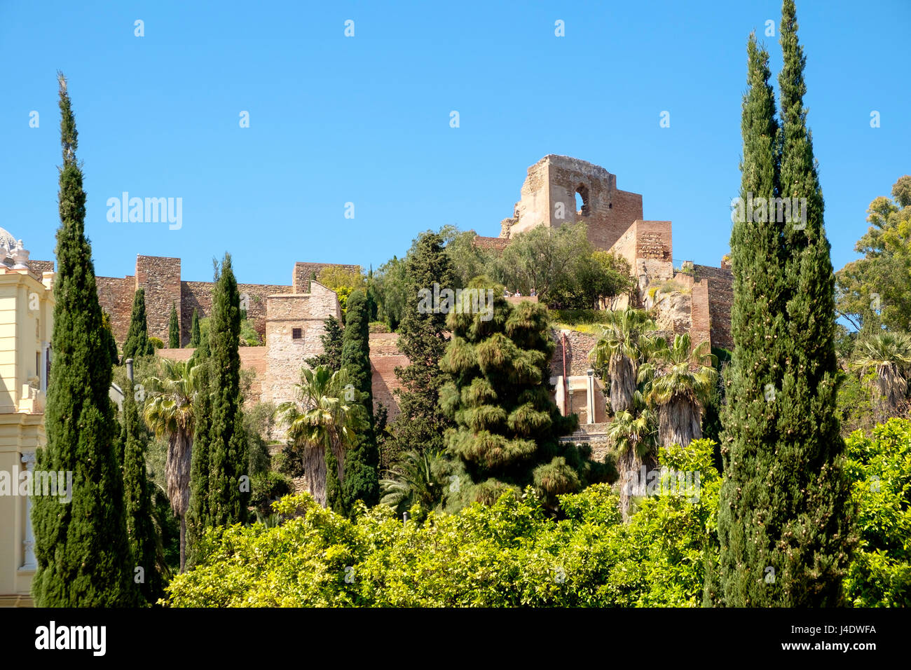 Blick durch die Bäume von den Jardines de Pedro Luis Alonso an der Alcazaba von Malaga Stockfoto