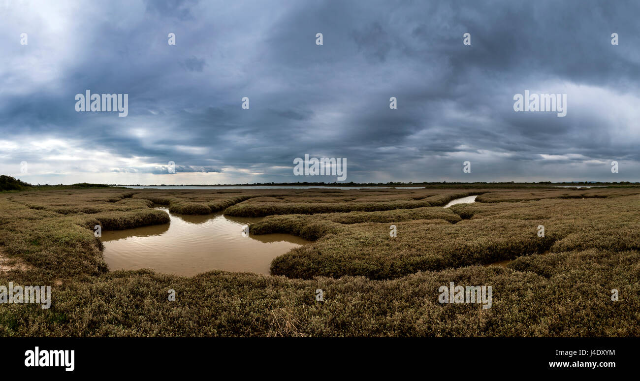 Ebbe im Pagham Hafen Naturreservat in West Sussex, UK Stockfoto