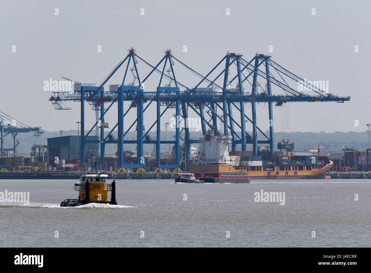 Tilbury Docks, an der Themse in Essex, mit Kränen, Containerschiffen und Schleppern mit einem Lastkahn. PACECO España Krane Stockfoto