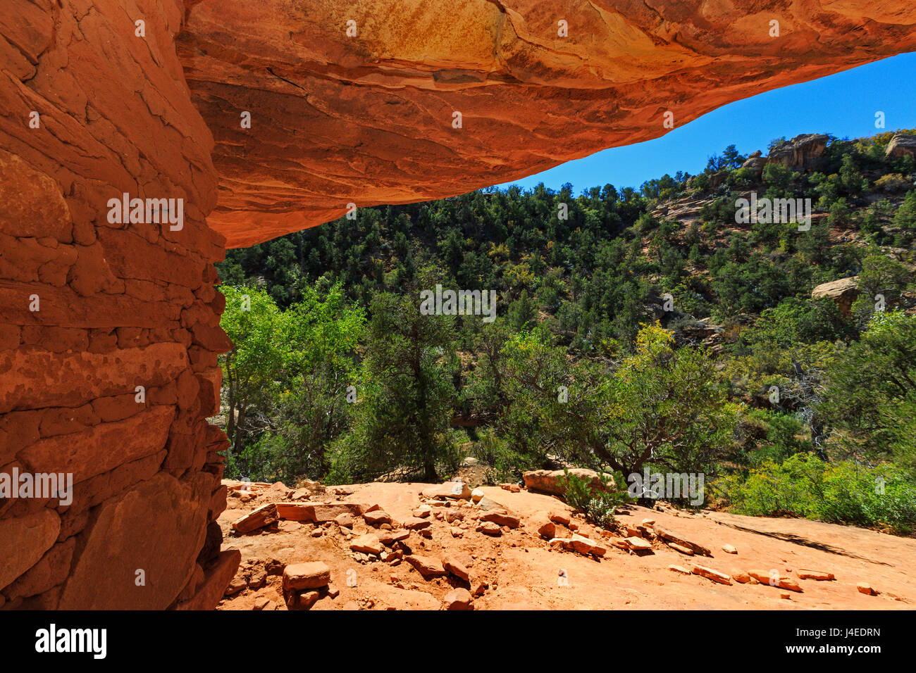 Dieser Blick geht aus dem Haus auf Feuer Ruine in Richtung Mule Canyon im Bären Ohren National Monument, San Juan County, Utah, USA. Stockfoto