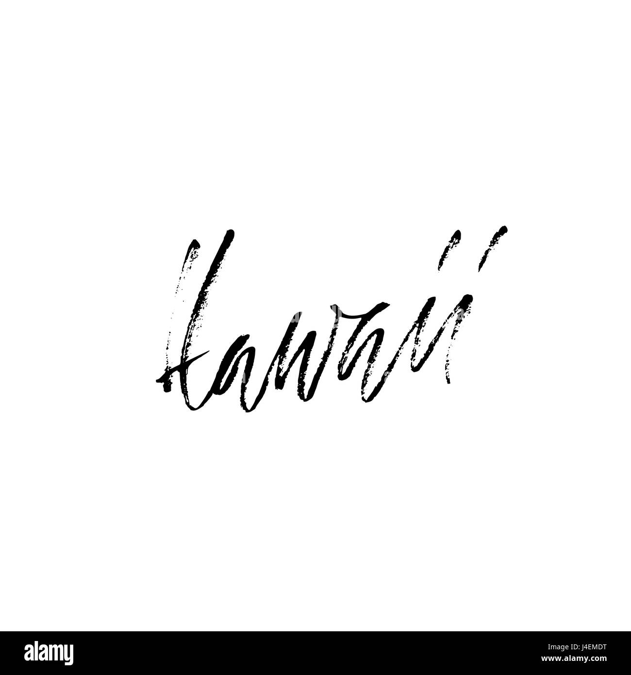 Hawaii-Hand-Schrift-Typografie-Design. Handschriftliche moderne trockenen Pinsel Inschrift. Vektor-Illustration. Stock Vektor