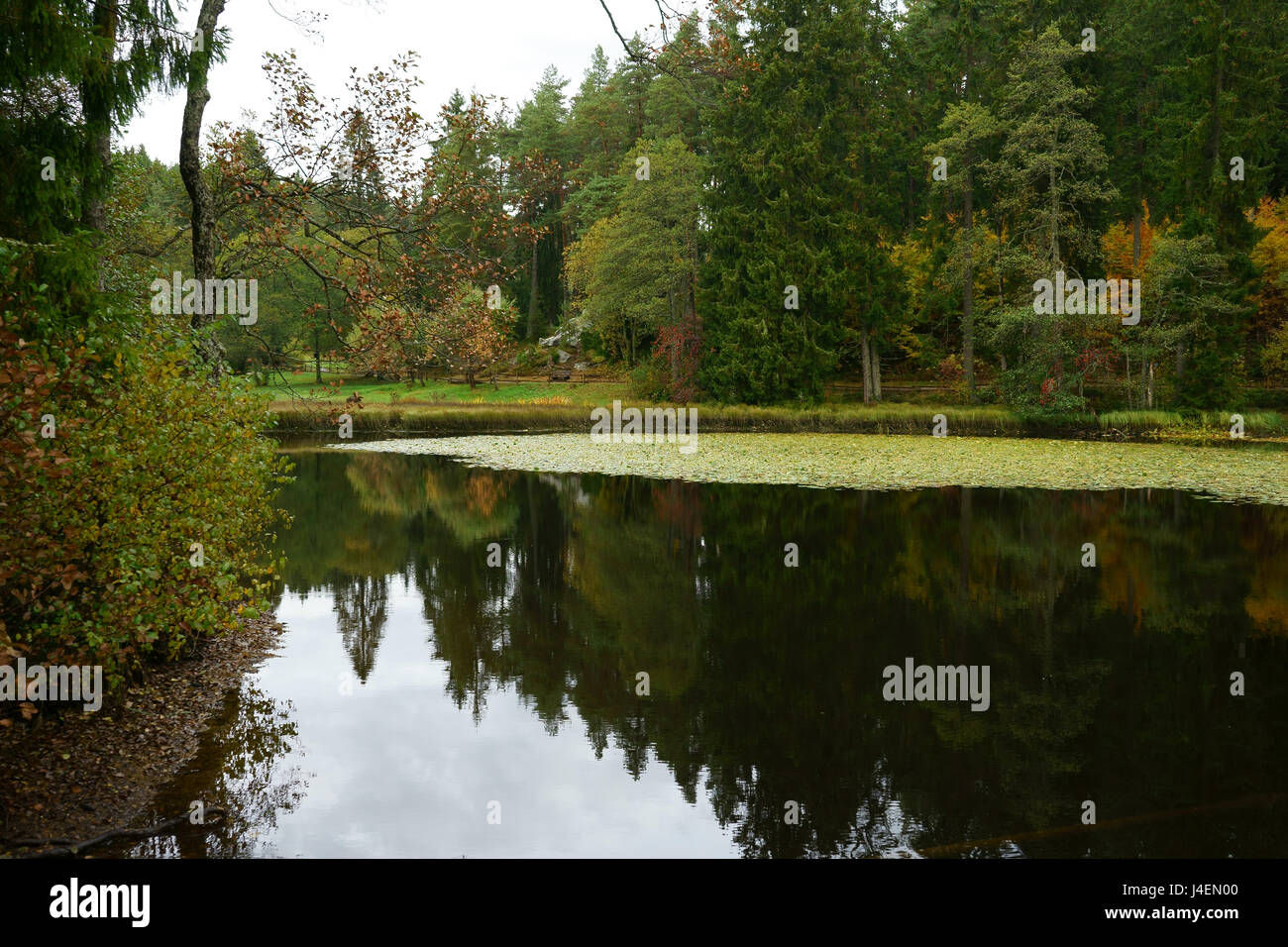 Schlüchtsee, Herbst, südlichen Schwarzwald Naturpark, Grafenhausen, Deutschland Stockfoto