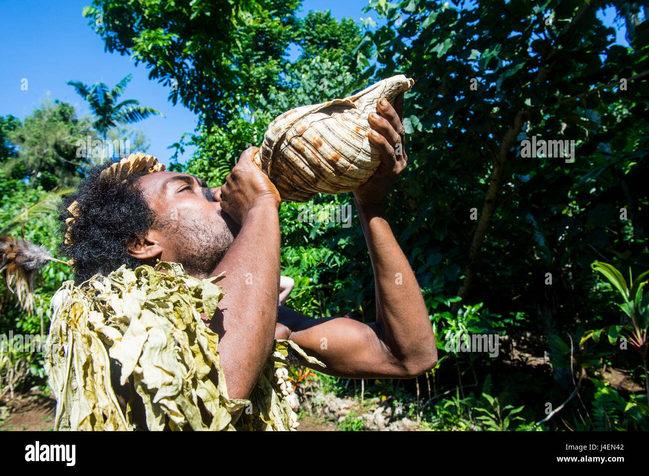 Mann bläst in eine riesige Muschel, Ekasup Cultural Village, Efate, Vanuatu, Pazifik Stockfoto