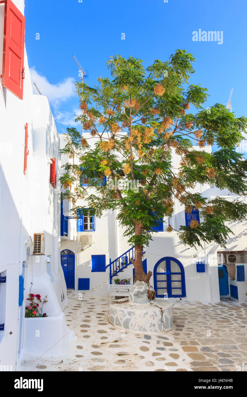 Quadrat mit blühenden Baum, weiß getünchten Gebäuden, blauer Himmel, Mykonos Stadt, Mykonos, Cyclades, griechische Inseln, Griechenland, Europa Stockfoto