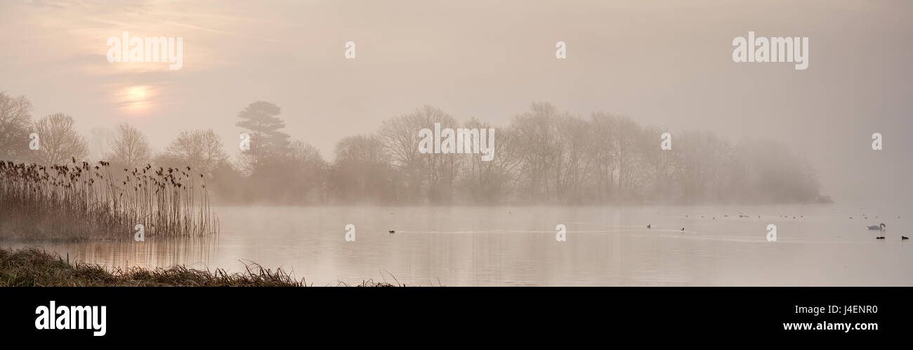 Sonnenaufgang am Great Lake, Castle Howard, North Yorkshire, Yorkshire, England, Vereinigtes Königreich, Europa Stockfoto