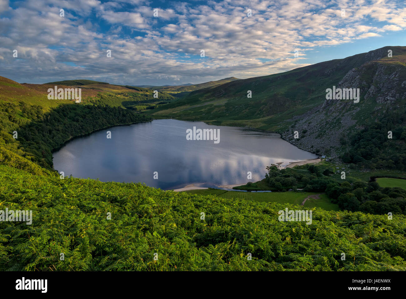 Lough Tay, County Wicklow, Leinster, Irland, Europa Stockfoto