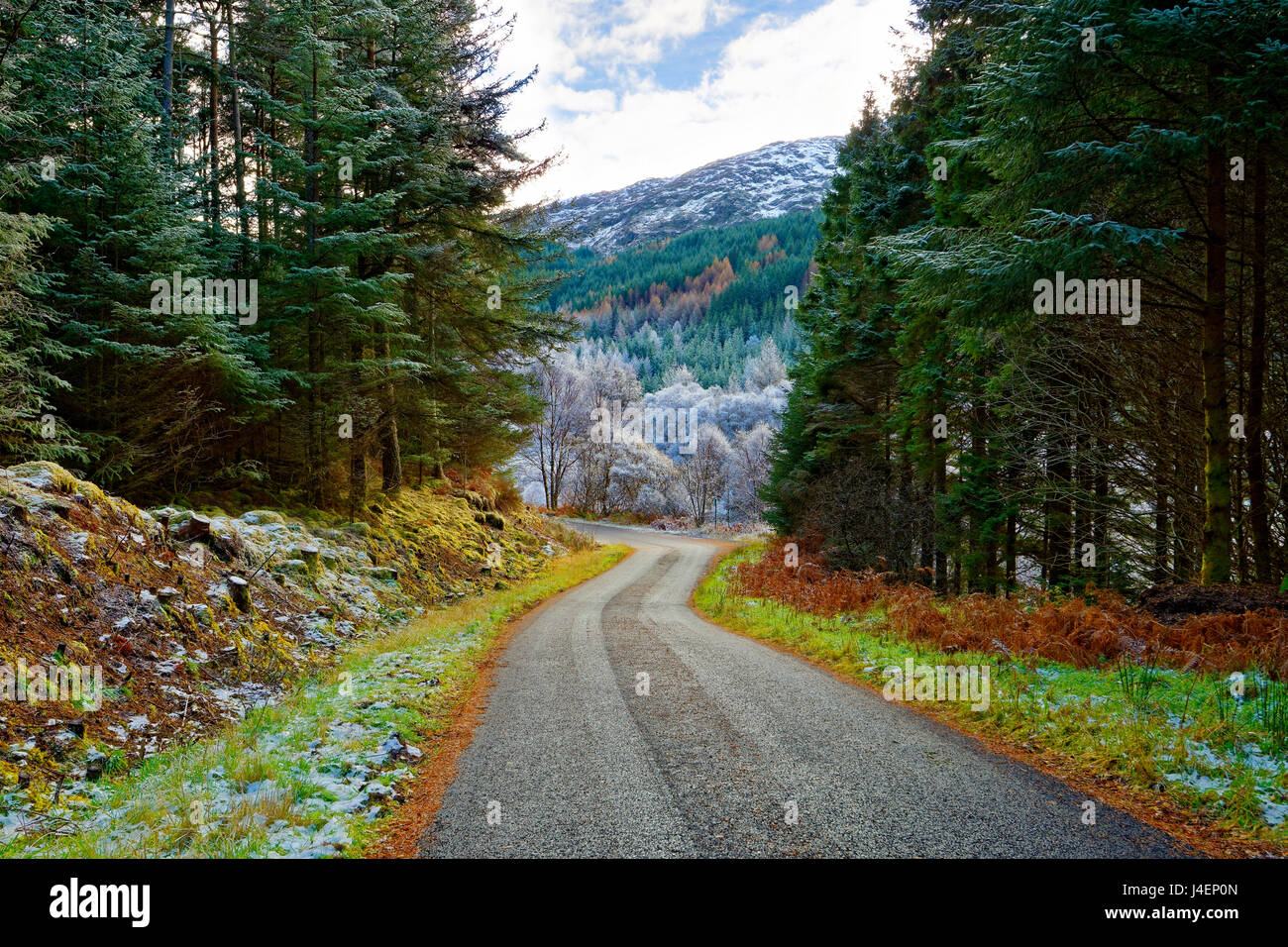 Ein Winter-Blick auf eine kurvenreiche Straße durch ein bewaldetes Tal in Ardnamurchan Halbinsel, die schottischen Highlands, Schottland, Großbritannien Stockfoto