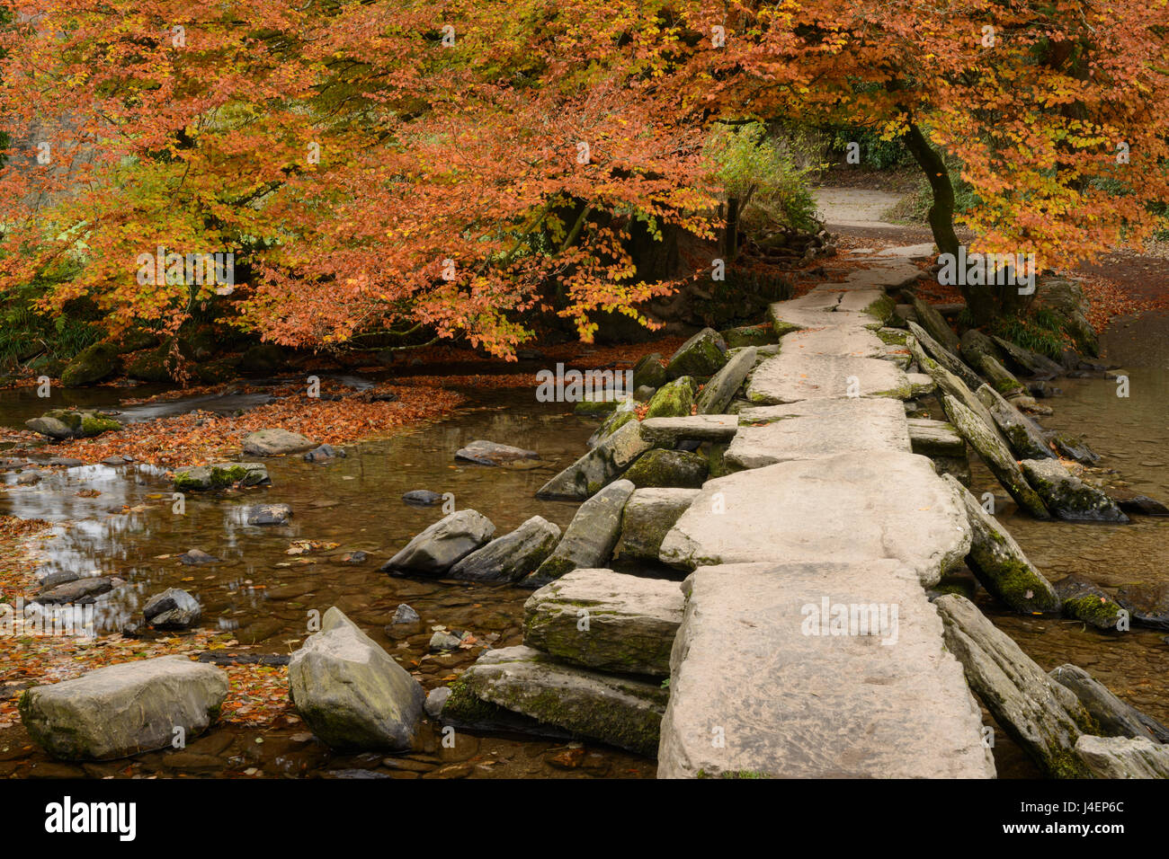 Tarr Steps, ein Klöppel-Brücke über den Fluss Barle auf Exmoor, Somerset, England, Vereinigtes Königreich, Europa Stockfoto