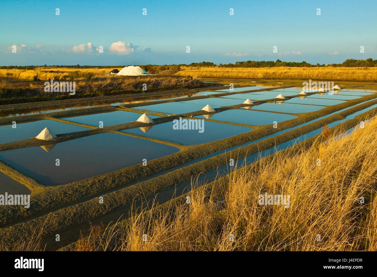 Salz, Pfannen und Haufen von Fleur de Sel herum Fier Ars Sümpfe des Westens, Ars de Re, Ile de Re, Charente-Maritime, Frankreich Stockfoto