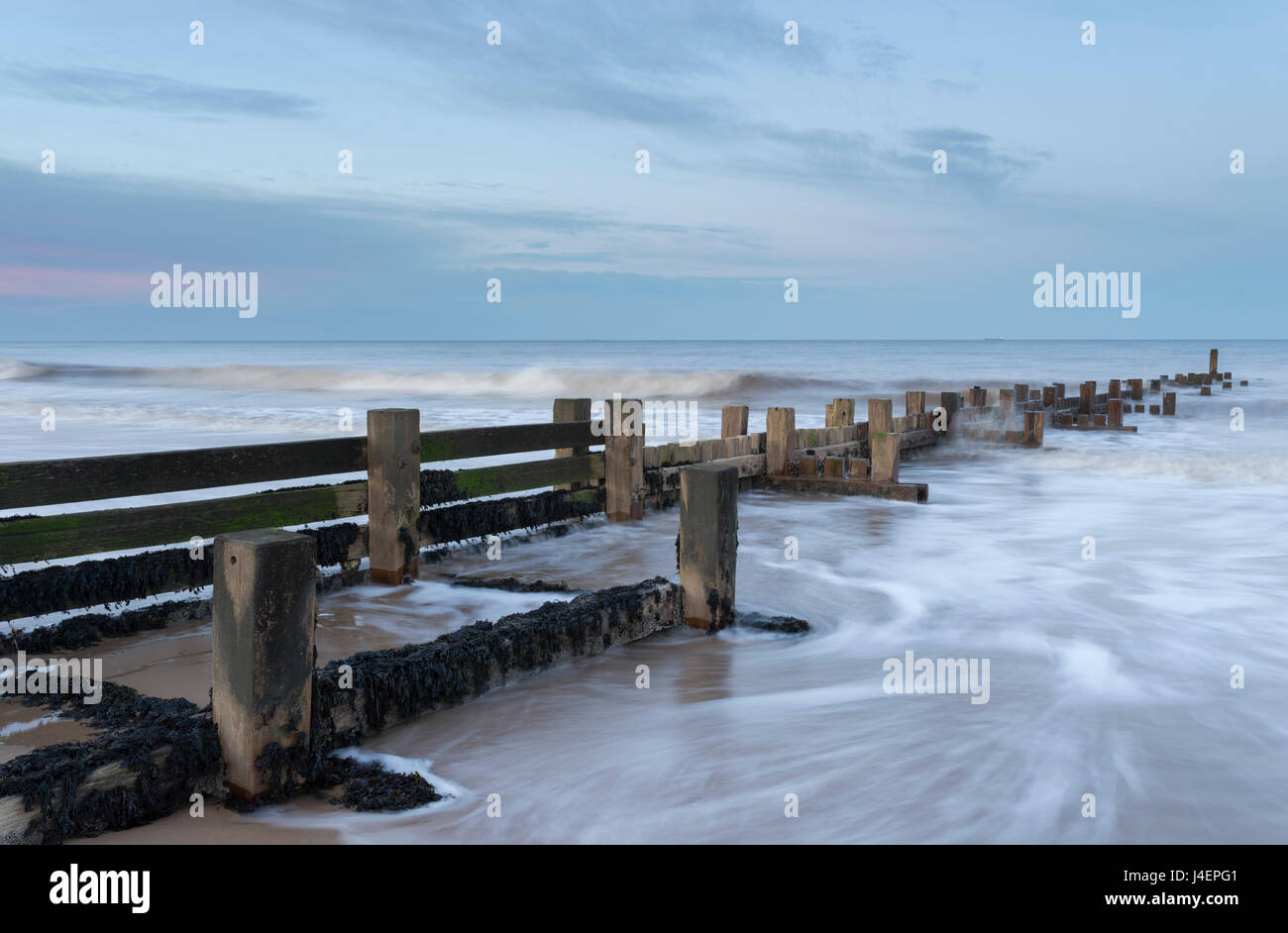Ankommenden Wellen schlagen eine Buhne Walcott, Norfolk, England, Vereinigtes Königreich, Europa Stockfoto