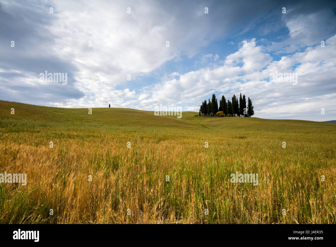Wolken umrahmen die sanften grünen Hügeln des Val d ' Orcia, UNESCO-Weltkulturerbe, Provinz Siena, Toskana, Italien, Europa Stockfoto