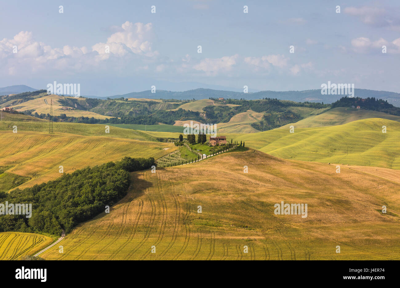 Grün, sanfte Hügel und Bauernhäuser der Crete Senesi (Senese Tonen), Provinz Siena, Toskana, Italien, Europa Stockfoto