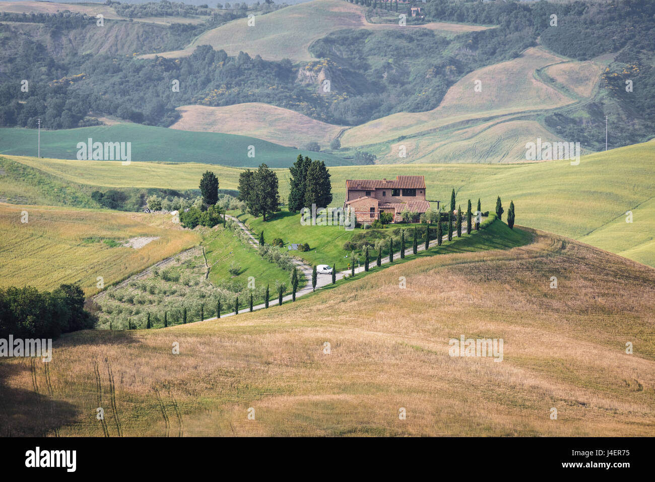 Grün, sanfte Hügel und Bauernhäuser der Crete Senesi (Senese Tonen), Provinz Siena, Toskana, Italien, Europa Stockfoto