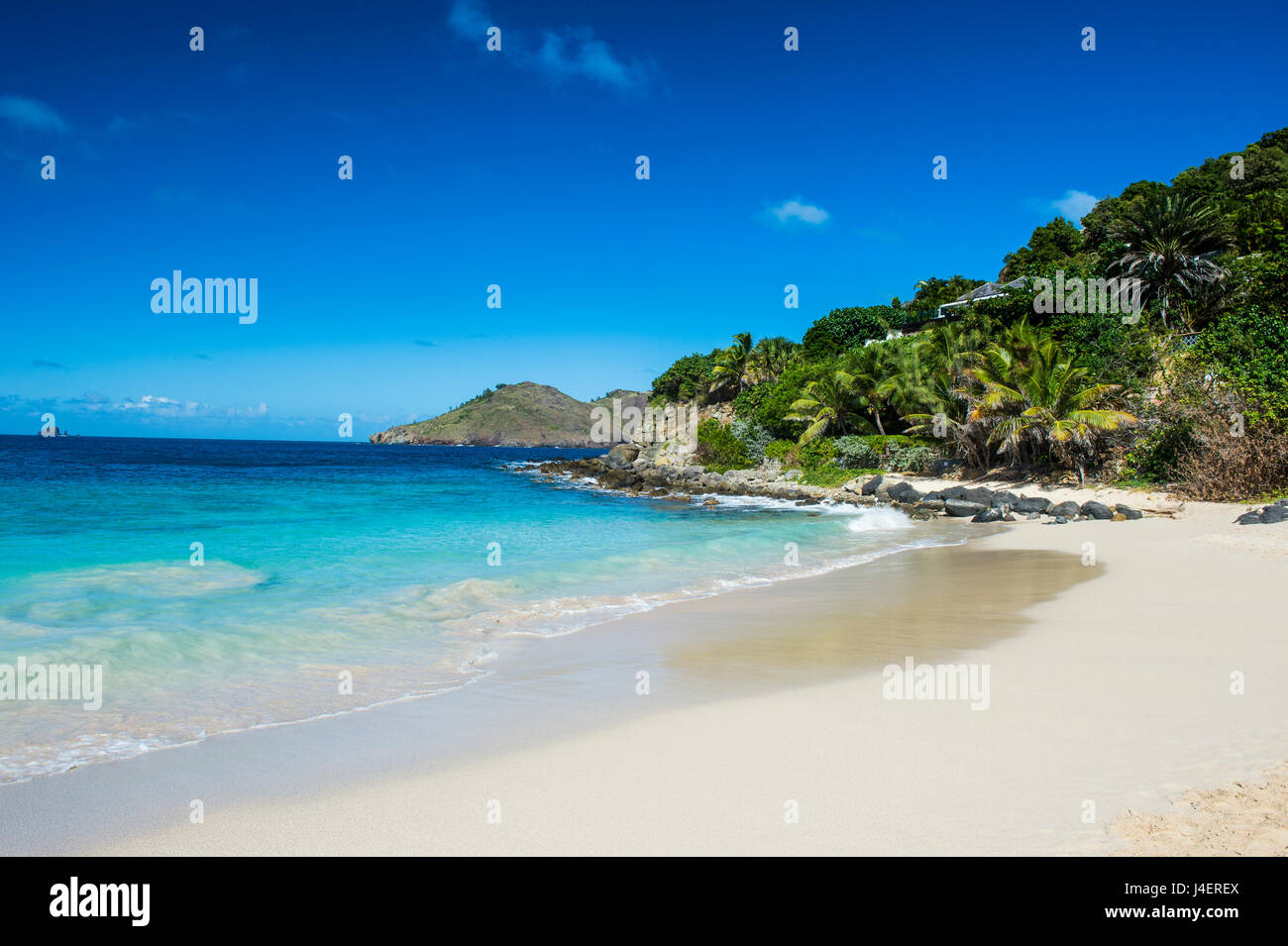 Flamand Beach, St. Barth (Saint Barthelemy), kleine Antillen, West Indies, Karibik, Mittelamerika Stockfoto