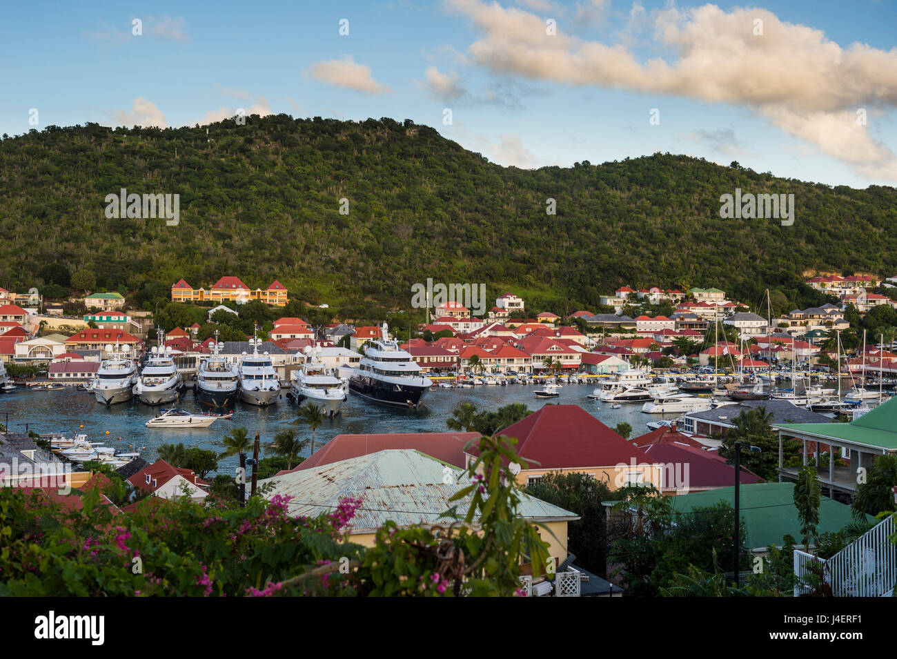 Luxus-Yachten im Hafen von Gustavia, St. Barth (Saint Barthelemy), kleine Antillen, West Indies, Karibik Stockfoto