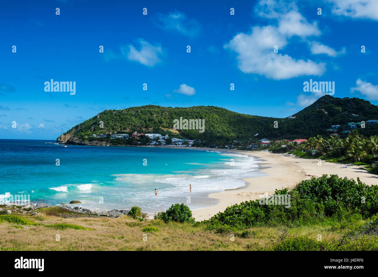 Blick über Flamand Beach, St. Barth (Saint Barthelemy), kleine Antillen, West Indies, Karibik, Mittelamerika Stockfoto