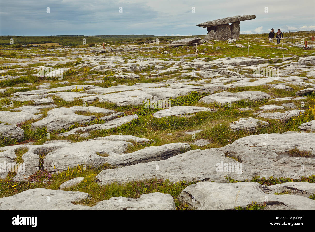 Die Poulnabrone Dolmen, prähistorische Platte Grabkammer, The Burren, County Clare, Munster, Irland, Europa Stockfoto