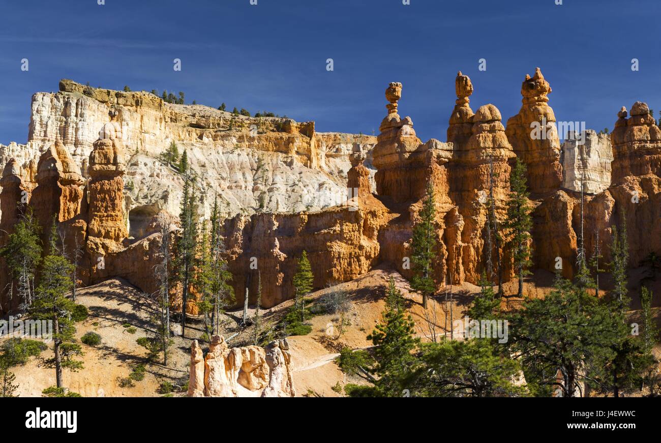 Erodierte Hoodoo Rock Formationen Wandern Queens Garden Fairyland Loop. Landschaftlich reizvolle Bryce Canyon National Park Desert Landscape, Utah Südwesten der USA Stockfoto