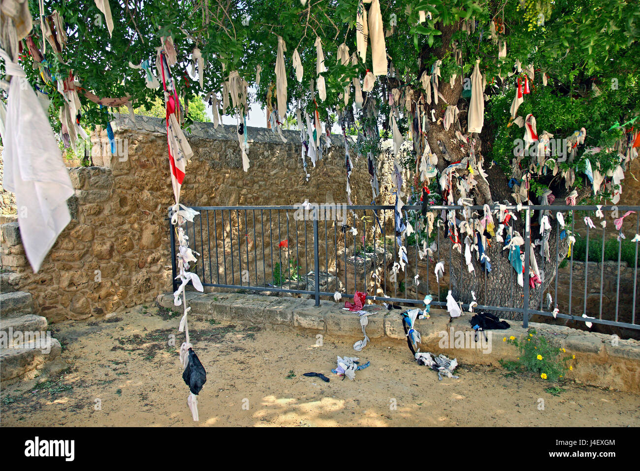 Sacred tree adorned by colourful rags and bits of clothing left by the faithful, right next to the catacombs of Agia Solomoni, Paphos, Cyprus. Stockfoto