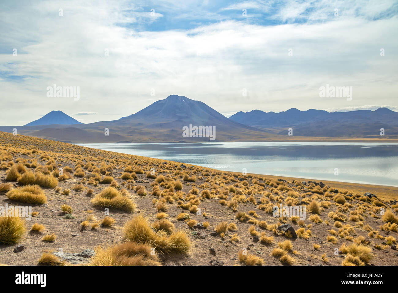Miscanti Lagune - Atacama-Wüste, Chile Stockfoto
